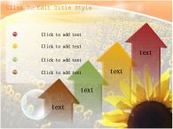 햇살 해바라기꽃 PPT 템플릿 넓은 꽃밭의 해바라기_슬라이드8