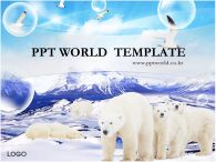 가족 곰 가족 PPT 템플릿 북극의 곰 가족_슬라이드1