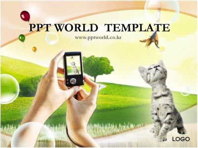 초원 초원 위 PPT 템플릿 사진찍는 손과 고양이(메인)