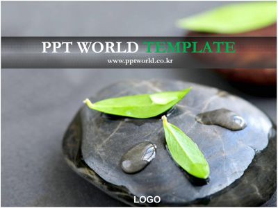 심플 홍보 PPT 템플릿 물방울 맺힌 나뭇잎이 있는 템플릿