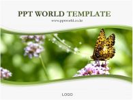 배경 사업계획서 PPT 템플릿 꽃과 나비 파워포인트_슬라이드1