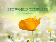 graphic 빛 PPT 템플릿 양귀비꽃이있는템플릿_슬라이드1