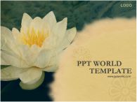 ppt 템플릿 PPT 템플릿 한국 전통 보고서_슬라이드1