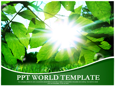 풍경 초록 숲 템플릿 PPT 템플릿 초록 숲 템플릿(자동완성형 포함)