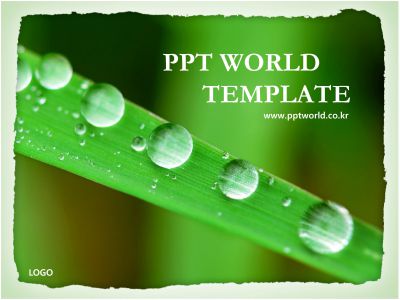 신선한 나뭇잎에 맺힌 물방울 PPT 템플릿 나뭇잎에 맺힌 물방울(자동완성형 포함)