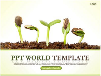 잎 식물  PPT 템플릿 성장 보고서