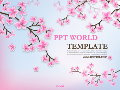 벚꽃 사쿠라 PPT 템플릿 핑크빛 봄의 소식(자동완성형 포함)
