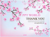 벚꽃 사쿠라 PPT 템플릿 핑크빛 봄의 소식_슬라이드4