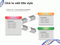 템플릿 프리젠테이션 PPT 템플릿 유전자 DNA 템플릿(자동완성형 포함)_슬라이드11
