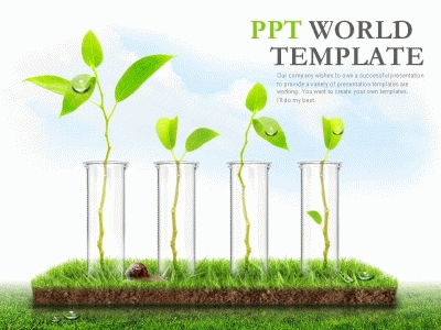 제안서 나뭇잎새싹 PPT 템플릿 생명을 위한 연구(자동완성형포함)