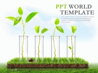제안서 나뭇잎새싹 PPT 템플릿 생명을 위한 연구(자동완성형포함)_슬라이드1