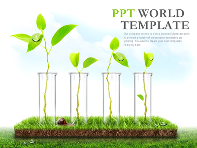 나뭇잎 새싹 PPT 템플릿 생명을 위한 연구