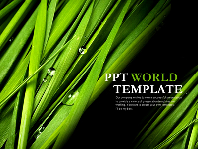 숲 잔디 PPT 템플릿 싱그러운 그린 템플릿(자동완성형포함)(메인)