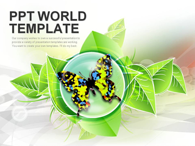 곤충 동물 PPT 템플릿 나뭇잎과 나비(자동완성형포함)_슬라이드1