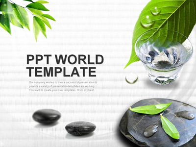 녹색 장판 PPT 템플릿 돌위의 나뭇잎과 물한잔의 여유_슬라이드1