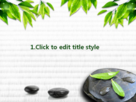 녹색 장판 PPT 템플릿 돌위의 나뭇잎과 물한잔의 여유_슬라이드3