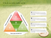 음식 식물 PPT 템플릿 친환경 농산물 쌀(자동완성형포함)_슬라이드20