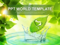 싱그러움 시냇가  PPT 템플릿 그린 풍경 템플릿(자동완성형포함)_슬라이드1