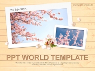 자연 벗꽃 PPT 템플릿 나른한 봄날의 벚꽃놀이 템플릿(자동완성형포함)_슬라이드1