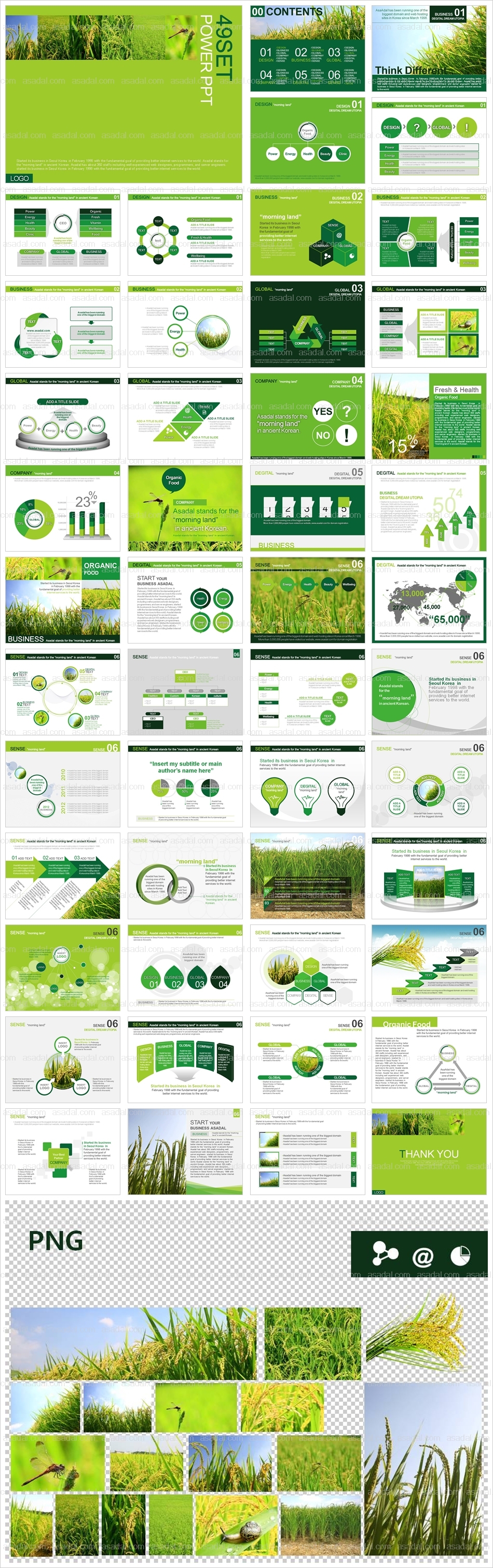 식물 디자인 PPT 템플릿 세트2_친환경 쌀과 농촌_b0067(하이피티)