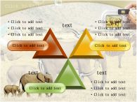 코뿔소 코끼리와 코뿔소 PPT 템플릿 아프리카의 동물과 사진찍는 손_슬라이드15