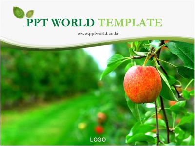 사업계획서  식물 PPT 템플릿 사과나무 파워포인트(메인)