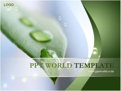 ppt 템플릿 PPT 템플릿 나뭇잎과물방울(메인)