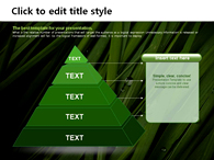 숲 잔디 PPT 템플릿 싱그러운 그린 템플릿(자동완성형포함)_슬라이드13