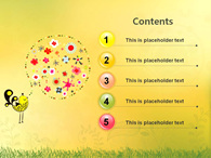 아기새 꽃밭 PPT 템플릿 생명을 노래하는 새(자동완성형포함)_슬라이드2