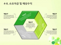 예상수익 세부일정계획 PPT 템플릿 다각형 그린 패턴 그래픽(자동완성형포함)_슬라이드23